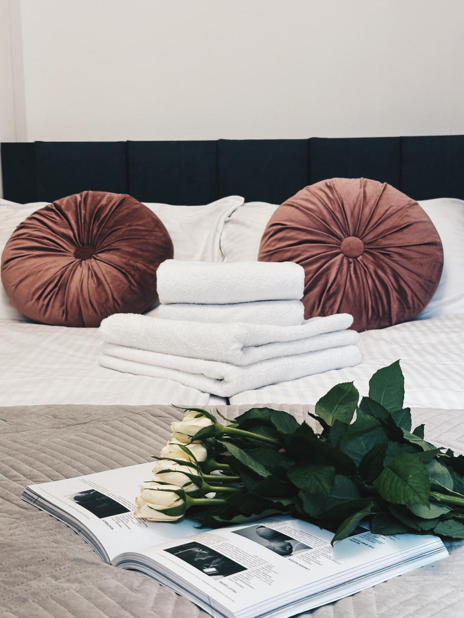 Soft Loft Apartamenty Stary Toruń Exterior foto